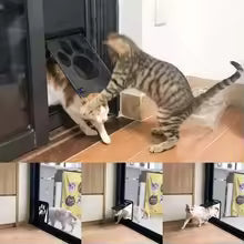 Distintas razas de perros usando la puerta magnética de forma independiente